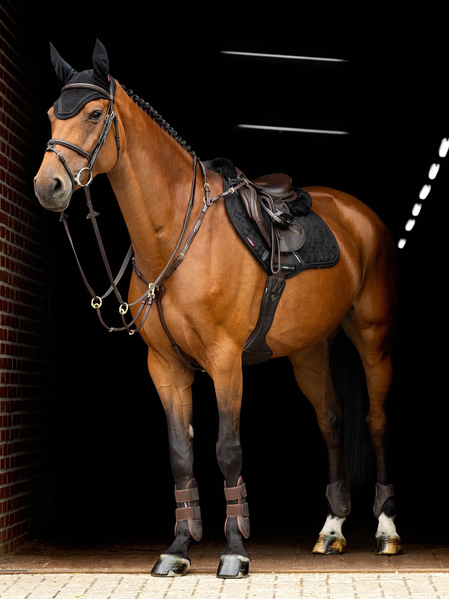 LeMieux Crystal Suede CC Pad