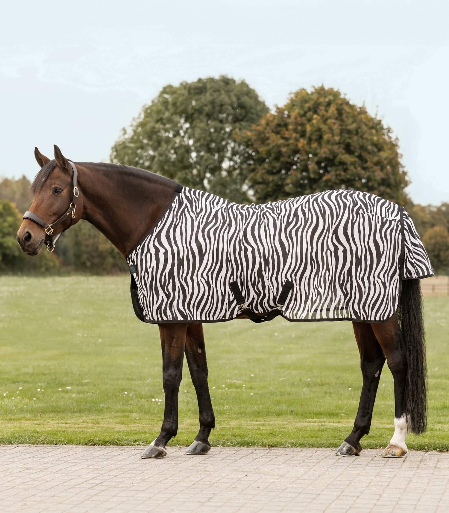 Waldhausen Fliegendecke Zebra mit Kreuzgurten
