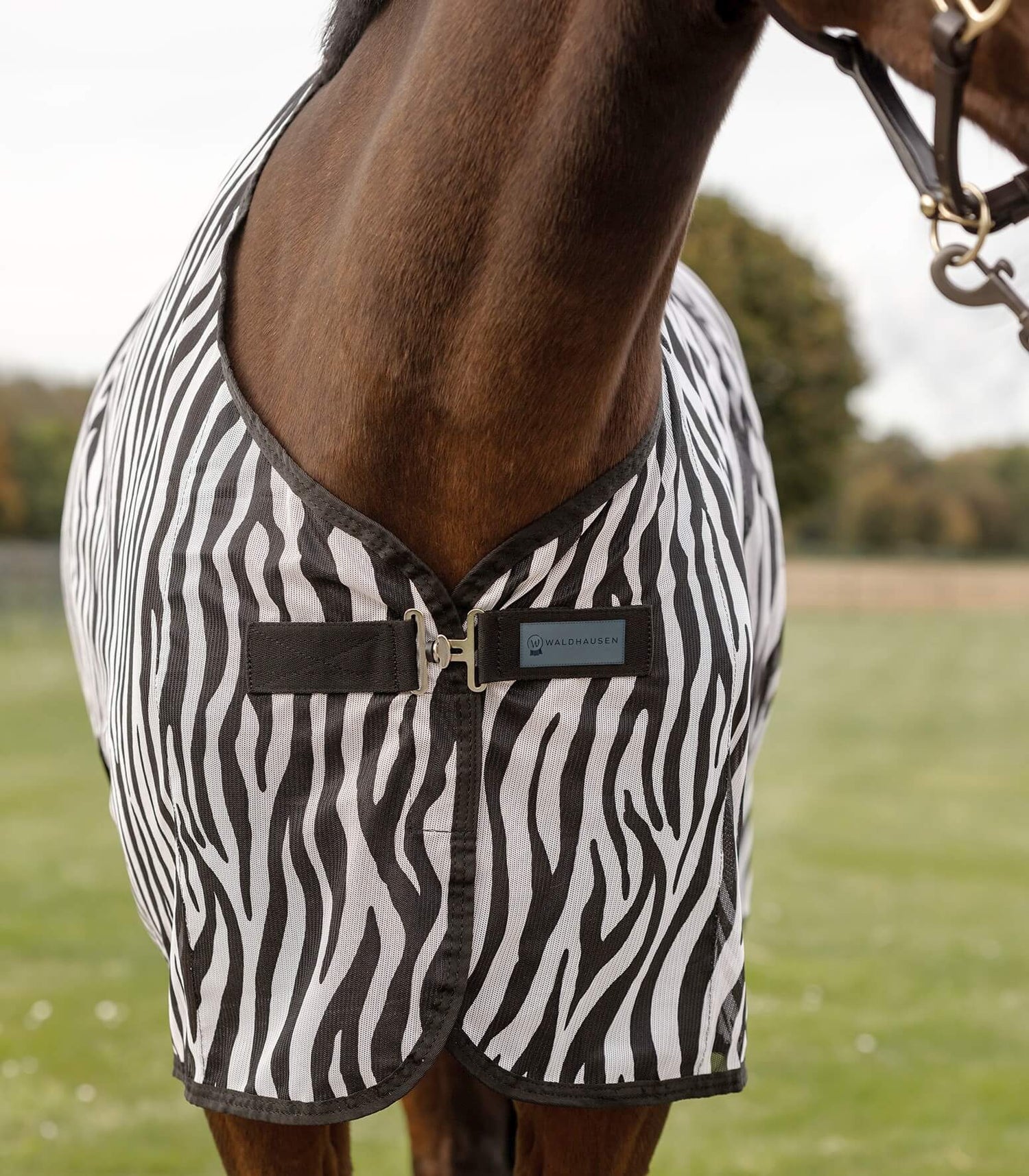 Waldhausen Fliegendecke Zebra mit Kreuzgurten