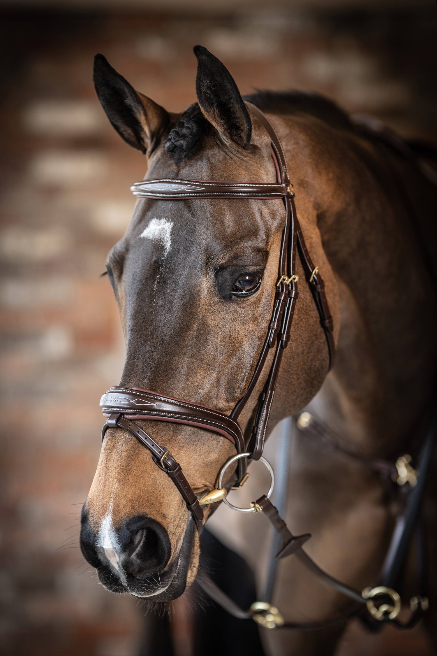LeMieux Kudos Competition Flash Bridle