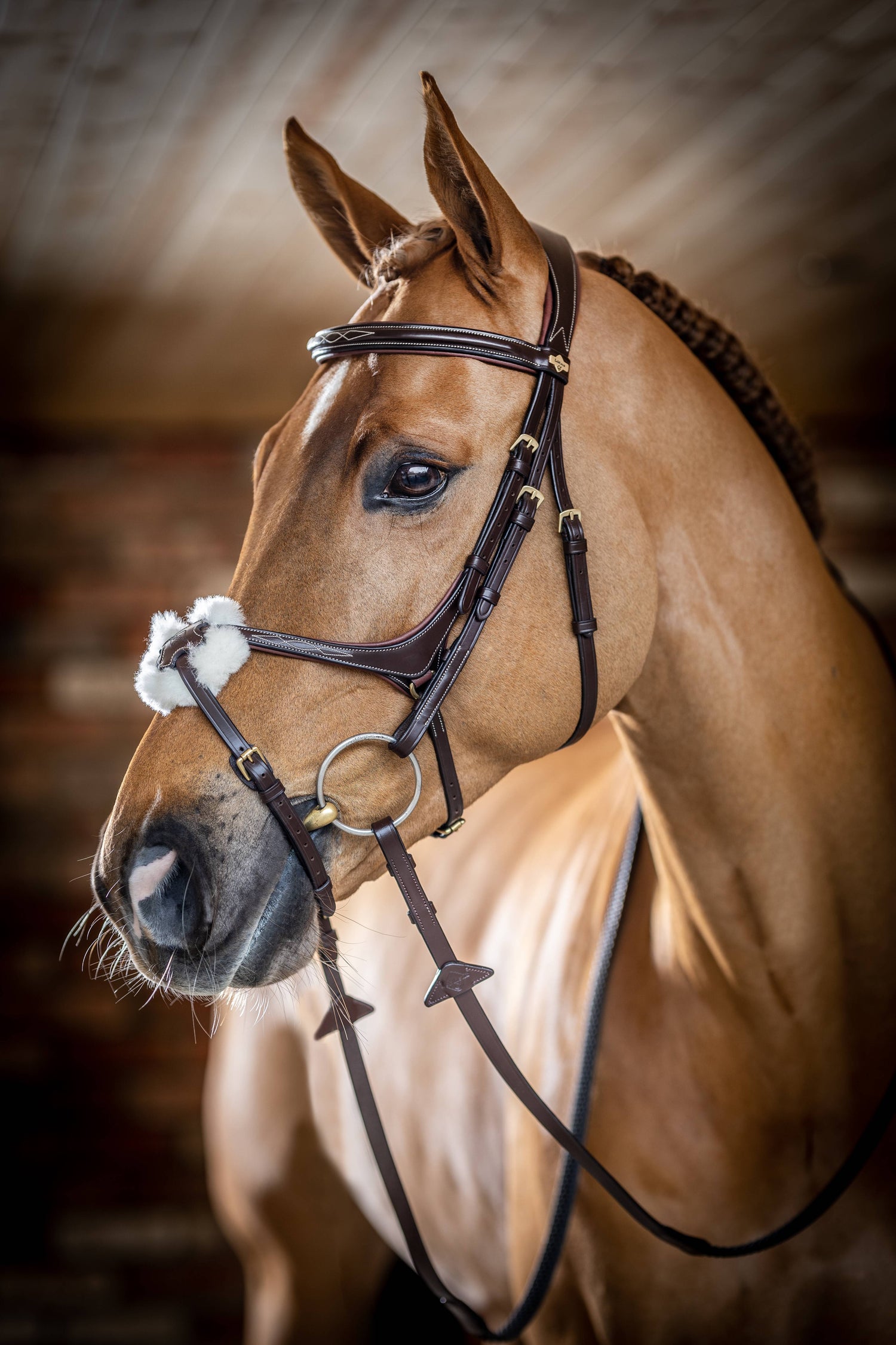 LeMieux Kudos Grackle Bridle
