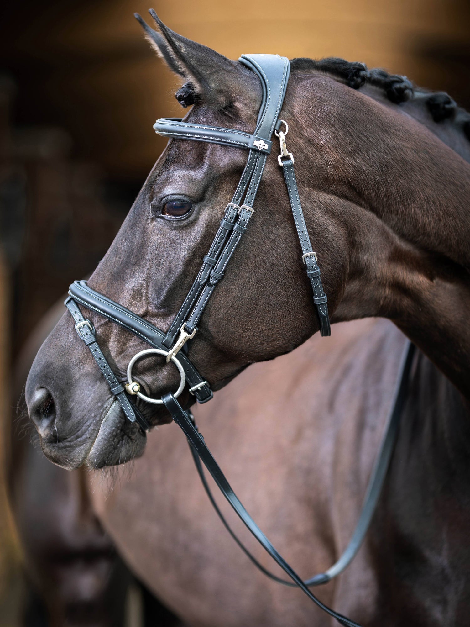 LeMieux Work Bridle
