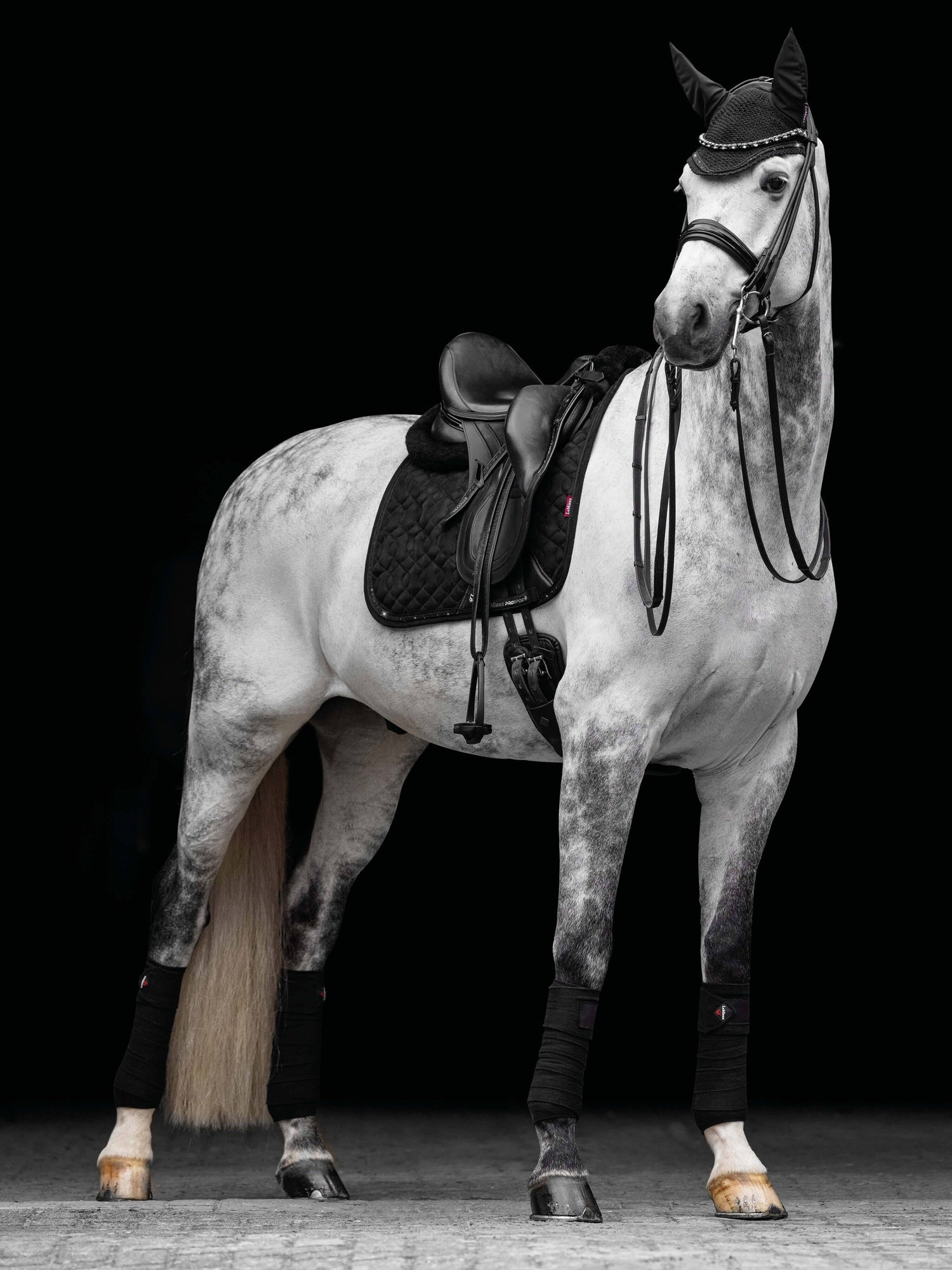 LeMieux Crystal Suede Dressage Pad